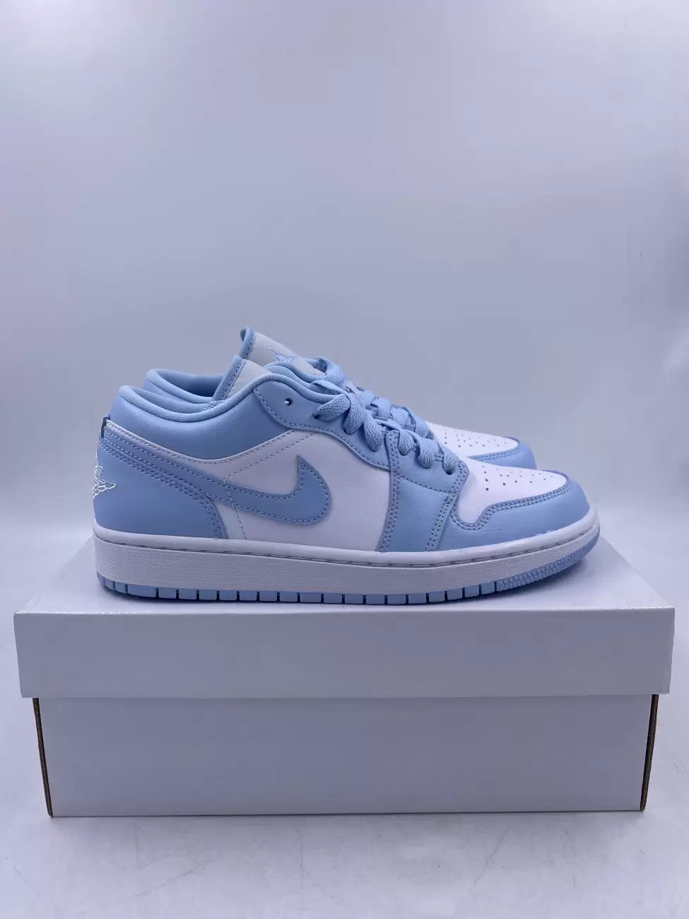 Air Jordan 1 [ice blue]